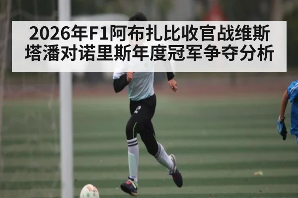 2026年F1阿布扎比收官战维斯塔潘对诺里斯年度冠军争夺分析 - TianBo Sports