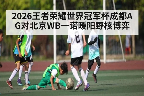 2026王者荣耀世界冠军杯成都AG对北京WB一诺暖阳野核博弈 - TianBo Sports